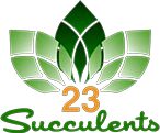 23 SUCCULENTS